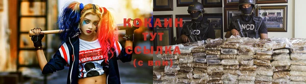 тгк Бородино