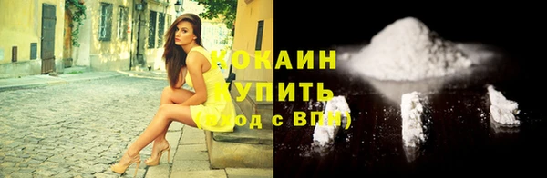 тгк Бородино