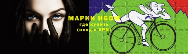 тгк Бородино