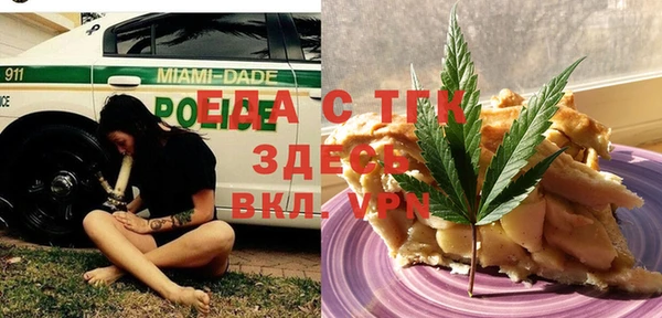 тгк Бородино