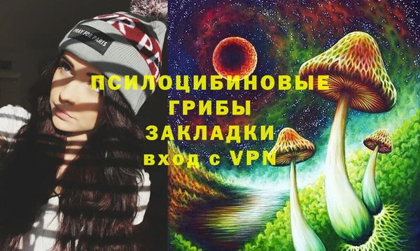 крисы Бугульма