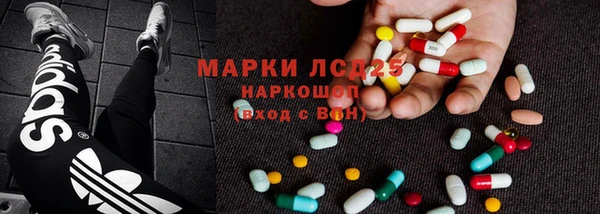 тгк Бородино
