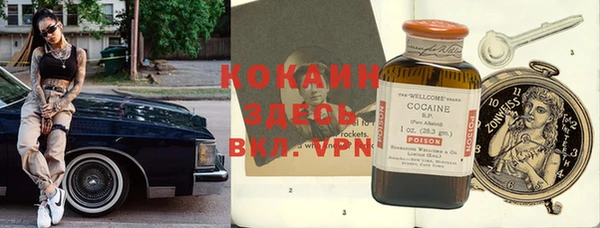крисы Бугульма