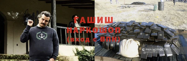 тгк Бородино