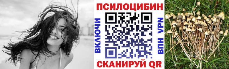 Псилоцибиновые грибы мицелий Сызрань